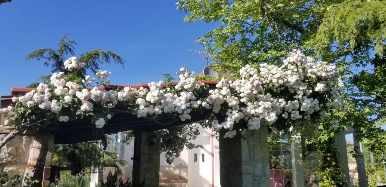 Country House Bubullime Albania Lushnjë Extérieur photo