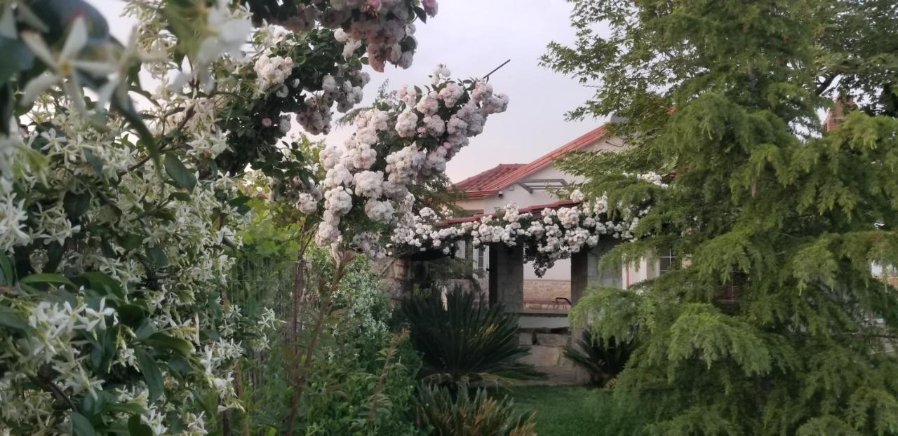 Country House Bubullime Albania Lushnjë Extérieur photo