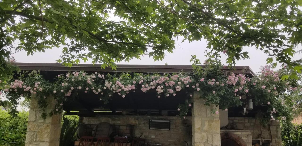 Country House Bubullime Albania Lushnjë Extérieur photo