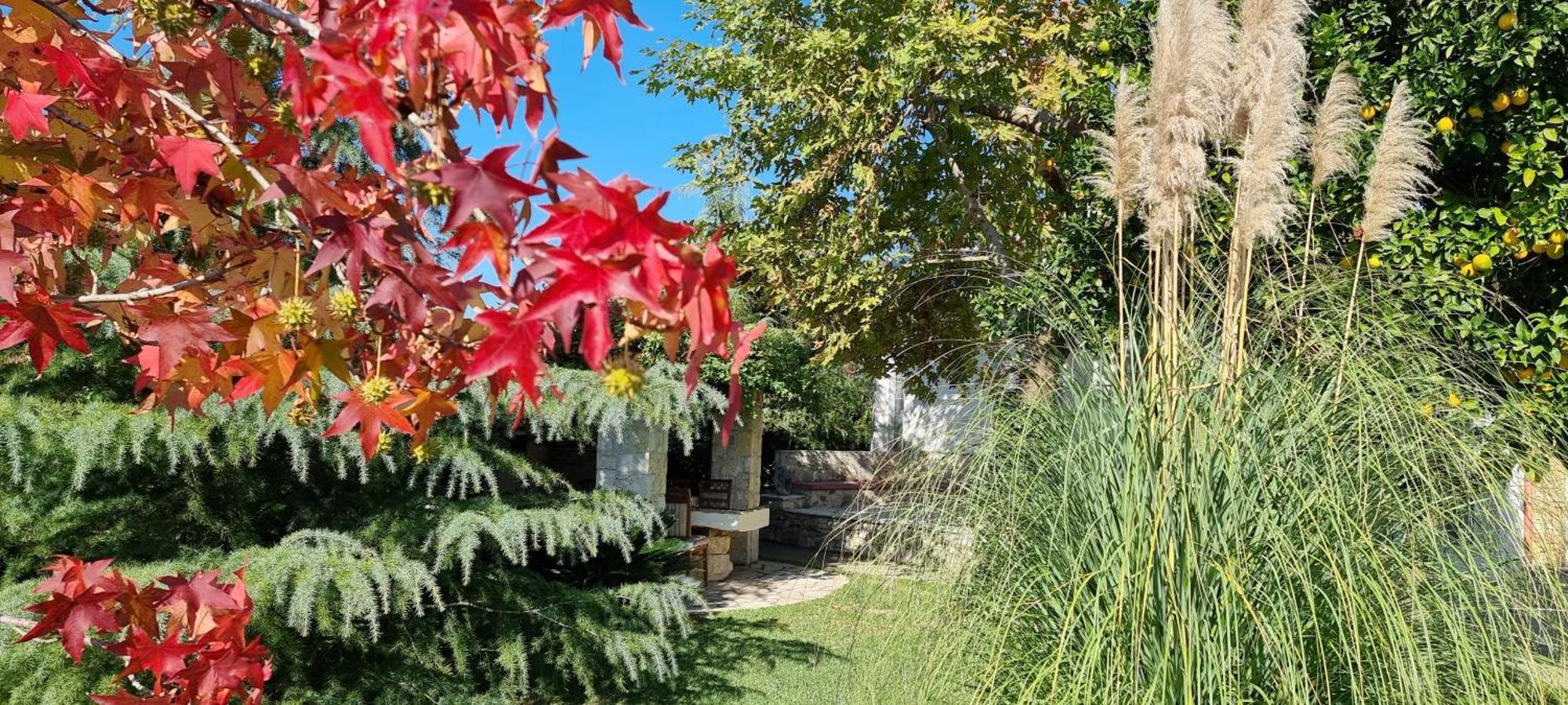 Country House Bubullime Albania Lushnjë Extérieur photo